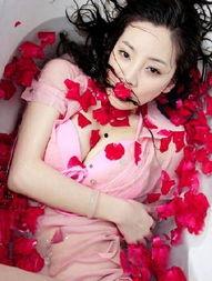 邵路雅资料,探索艺术与生活的跨界融合