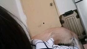 周大耳朵个人资料,音乐奇才的传奇人生